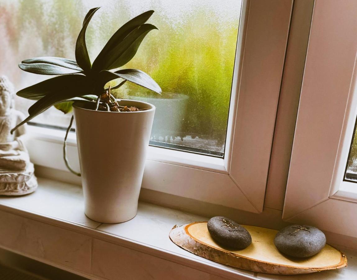 Modernes Appartement Im Gruenen - Stilvoll Und Komfortabel Colonia Exterior foto